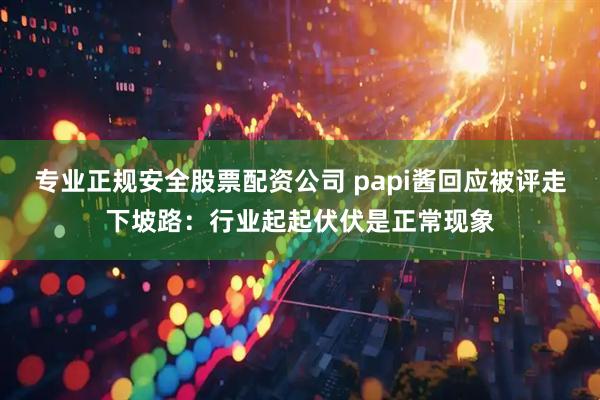 专业正规安全股票配资公司 papi酱回应被评走下坡路：行业起起伏伏是正常现象