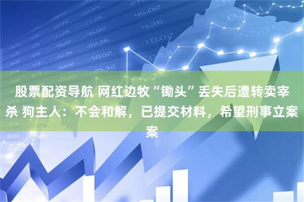 股票配资导航 网红边牧“锄头”丢失后遭转卖宰杀 狗主人：不会和解，已提交材料，希望刑事立案